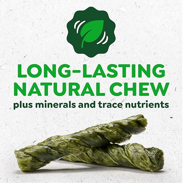 GREENIES OCCUPY TWISTS NATURAL DOG TREATS LARGE BREED SIZE CHICKEN FLAVOR, 8.55 OZ. PACK, 4 COUNT