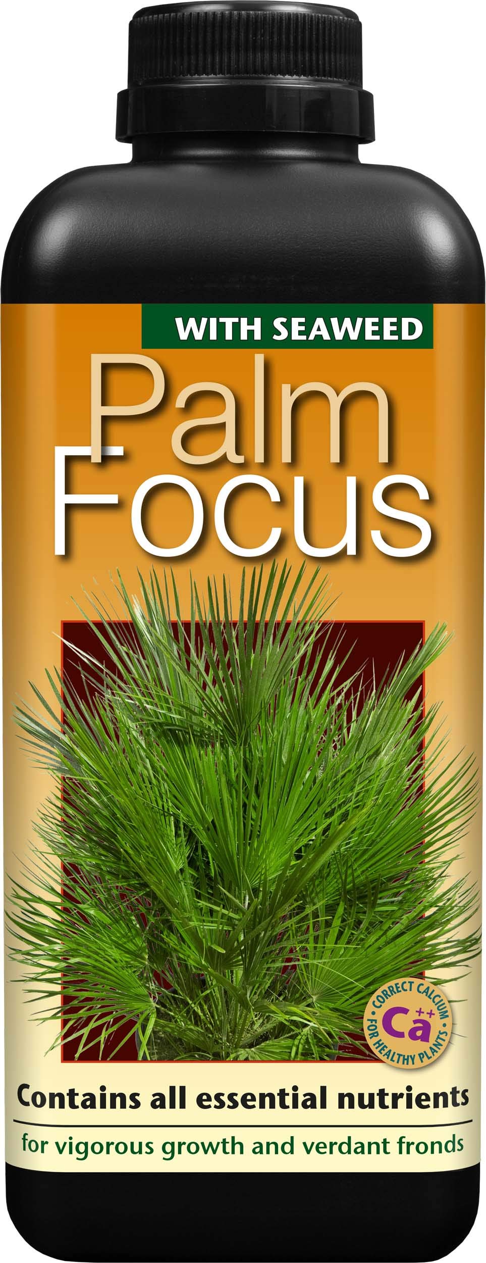 Palm Focus Concentrated Liquid Fertiliser, 1 litre - For Indoor and Outdoor Palms - Professional Grade Plant Food Concentrate with Kelp Seaweed Extract - Makes 200L Feed