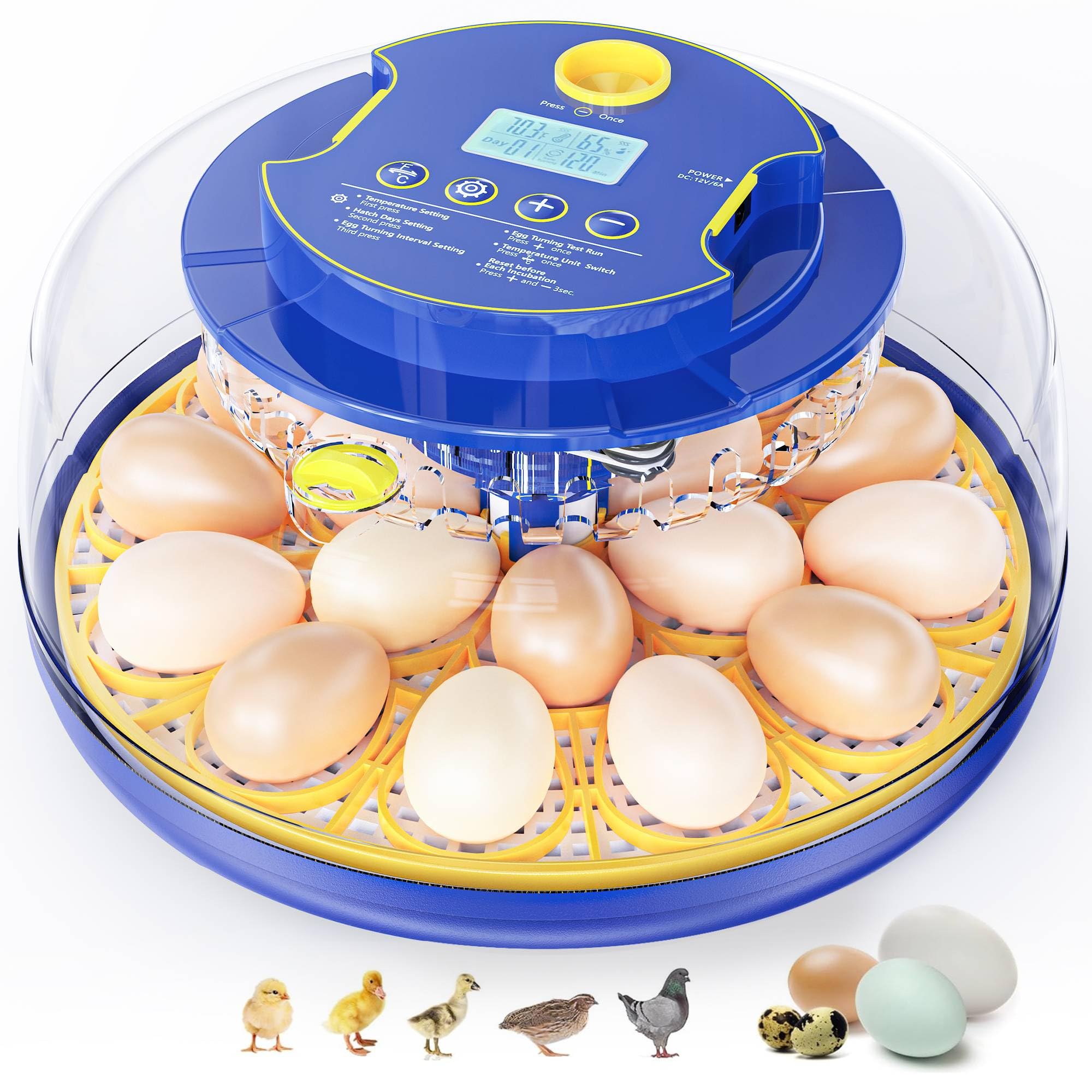 Photo 1 of 18 Chicken Egg Incubators for Hatching Eggs: Egg Incubator with Automatic Egg Turning and Humidity Control - Egg Candler - Temperature & Humidity Display - Used to Hatch Quail, Chicken, Duck and Goose