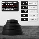 Gallant 40kg Vinyl Weight Plates 1 Inch Standard Set 4x10kg Exercise Fitness view 4
