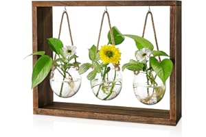 Grovind Plant Propagation Stations, Desktop Air Plant Terrarium with Wooden Stand Propagation Station, Propagator Glass Planters for Hydroponics Plants Home Office Gift for Woman