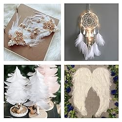 Larryhot White Craft Feathers Bulk - 240pcs 6 Style