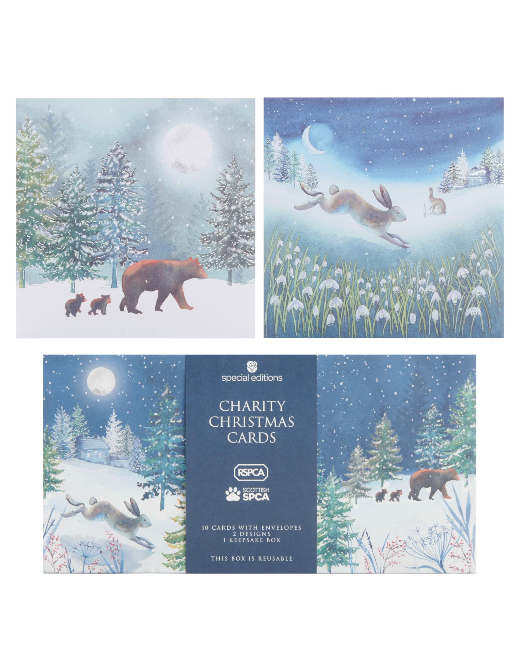 Box Of 10 RSPCA Charity Hare & Bears Christmas Cards In 2 Designs