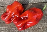 Criolla De Cocina Sweet Red Campesina Pepper