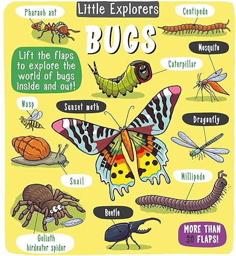 Download Little Explorers: Bugs PDF