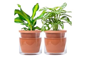 D'vine Dev 6 Inch Design Self Watering Pot for Indoor Plants, Terracotta Planter with Cylinder Glass Cup, Set of 2, 37-Y-B-1