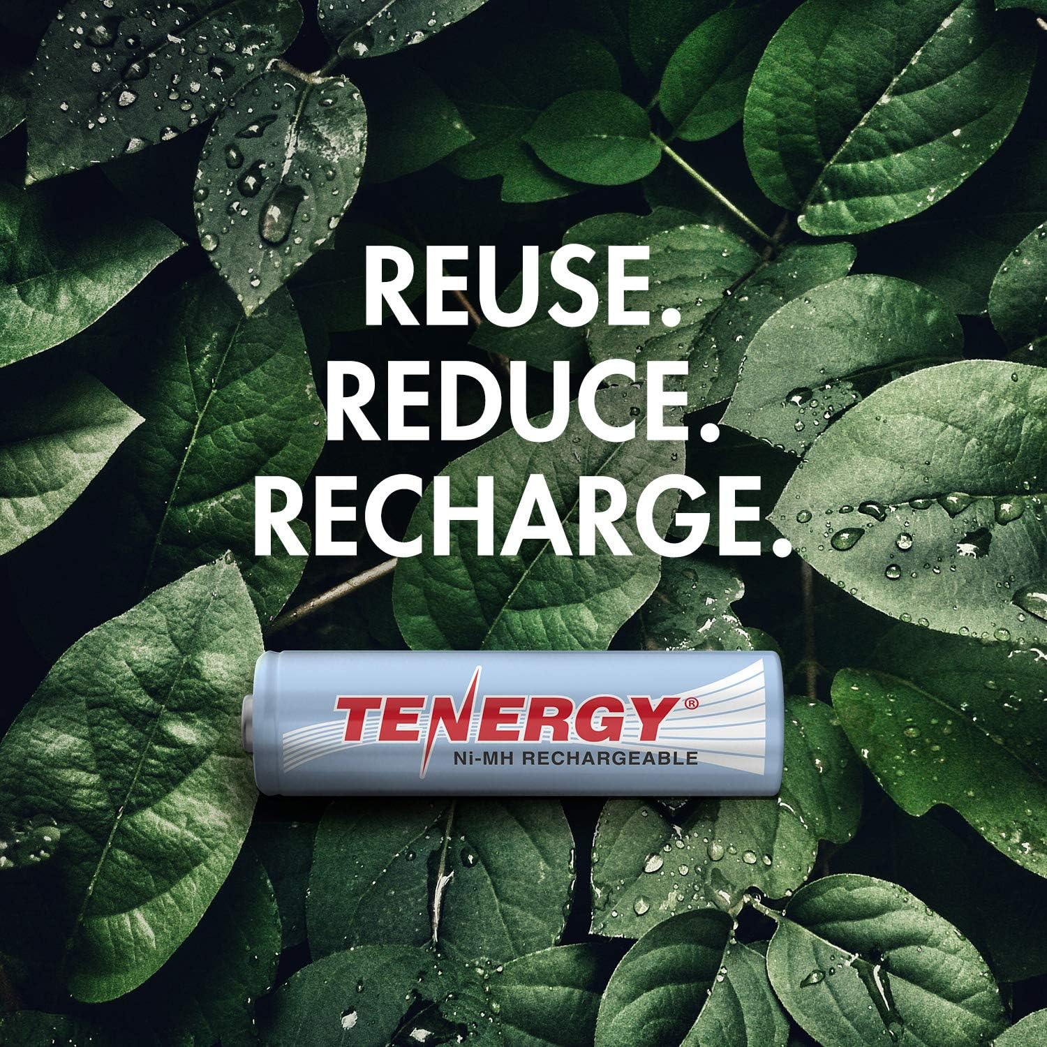 Tenergy NiMH AA, 1.2V AA, High Capacity 2500mAh Double A Cell, 24 Pack w/Bonus 6 Battery Cases: Health & Personal Care