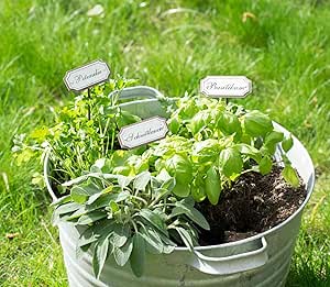 10 letreros de metal para las hierbas aromáticas / el jardín ...