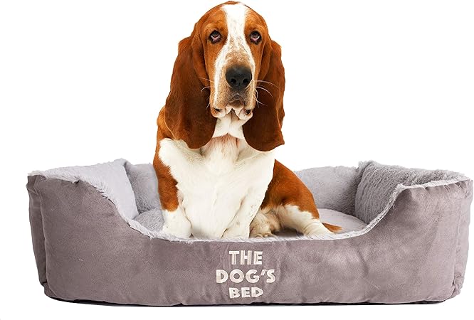 the dogs balls dog bed