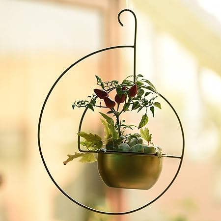 1 BHK Interiors Metal Spiral Planter/Plant Hanger, 28 x 13.5 x 39 cm, Golden