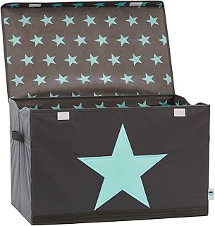 STORE IT - Spielzeugtruhe für Kinder - Truhe mit Deckel - Große Aufbewahrungsbox, Spielzeugkiste für das Kinderzimmer - 62x37,5x39cm - grau/ mintgrün - STERN