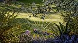 Hozelock Rectangular Sprinkler AquaSave Pro 220 M Oscillating Lawn Sprinkler view 4