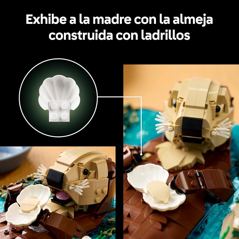 Ideias de Lontra-Marinha Flutuantes 21366
