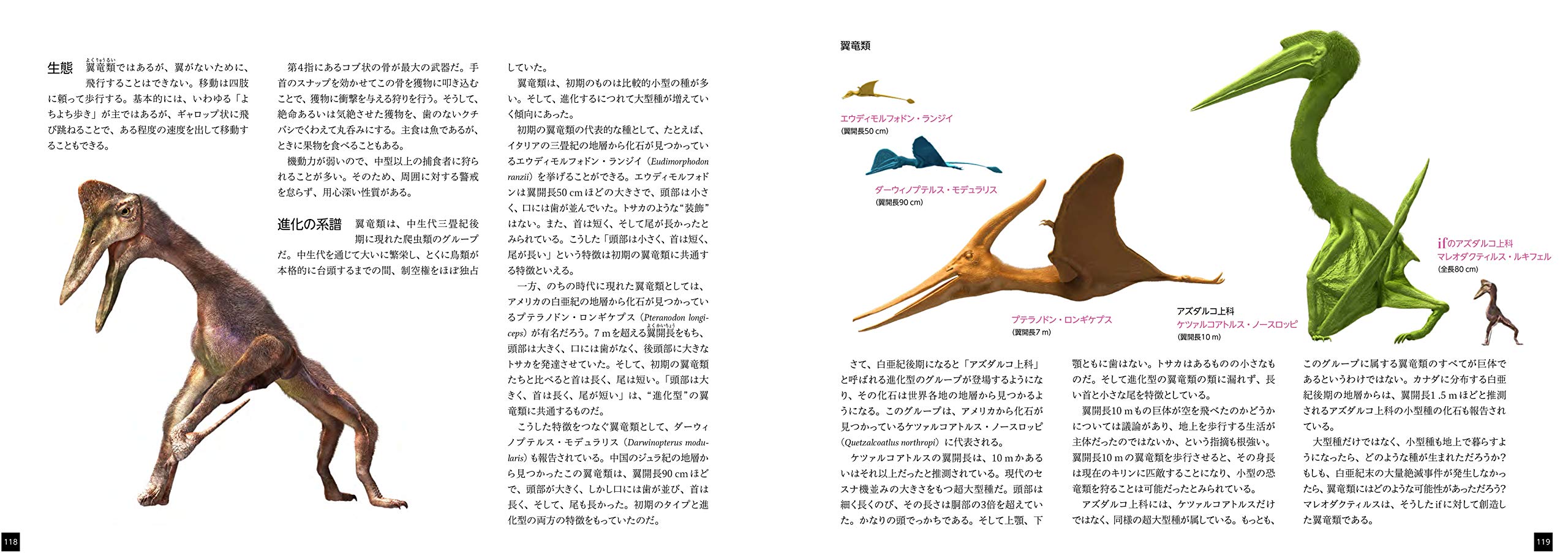 もしも 絶滅した生物が進化し続けたなら Ifの地球生命史 Graphic Voyage Amazon Co Uk Books