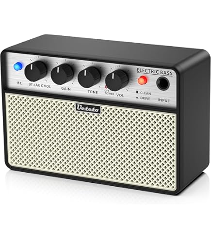Amazon.com: Laney Black Country Customs Amp Combo, 1x12in 30W