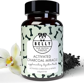 Kohletabletten Fur Hunde Dosierung Wirkung