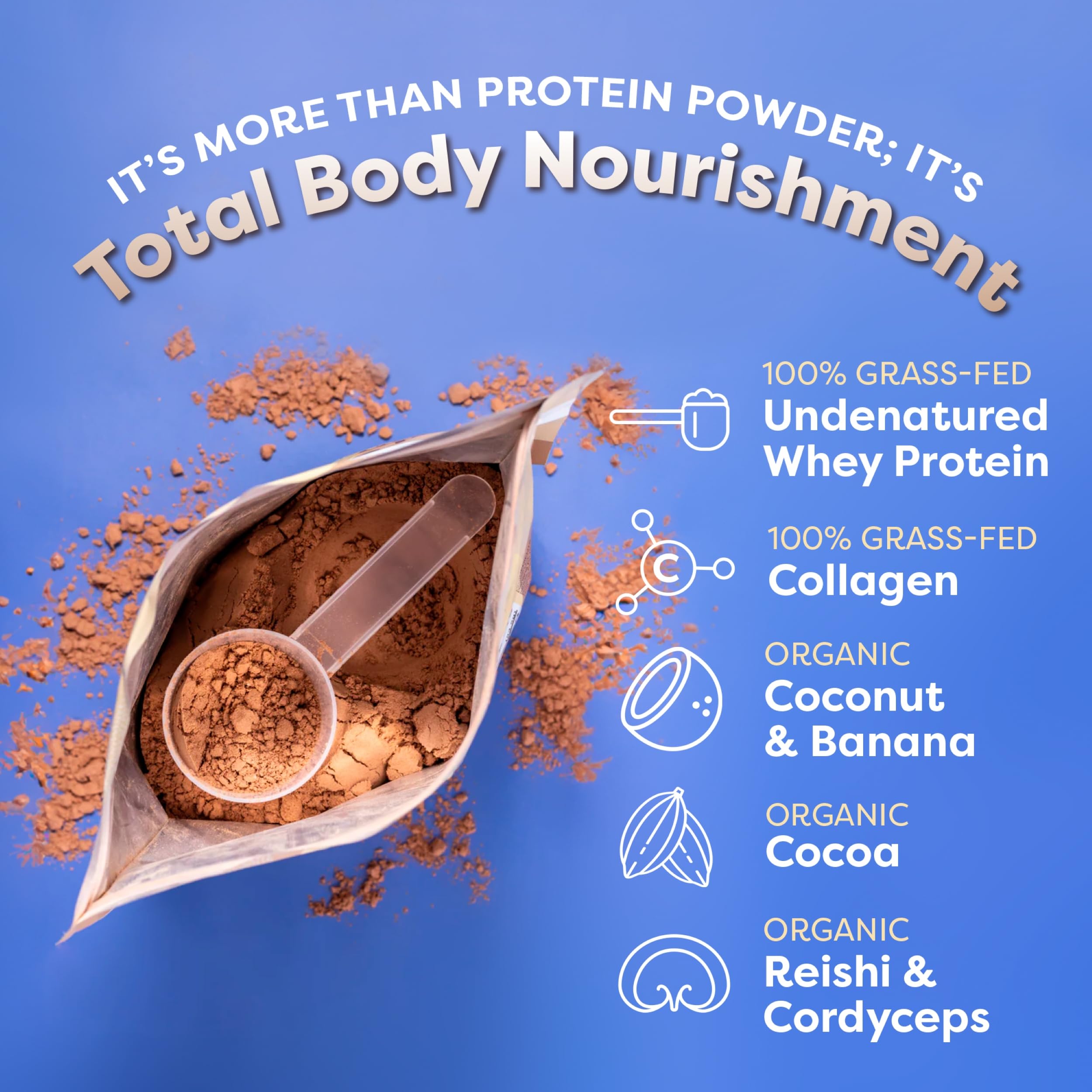 FlavCity Grass Fed Whey Chocolate Protein Powder - 25g Protein & 10g Collagen - Made with Organic Cocoa, Bananas & Coconut Milk - Gluten Free & No Added Sugars (20 Servings)