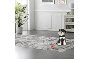 3x6 Runner Rug Washable Entryway: Abstract Print Door Mat with Non Slip Backing for Hallway Bedroom Kitchen - Low Pile Stain 