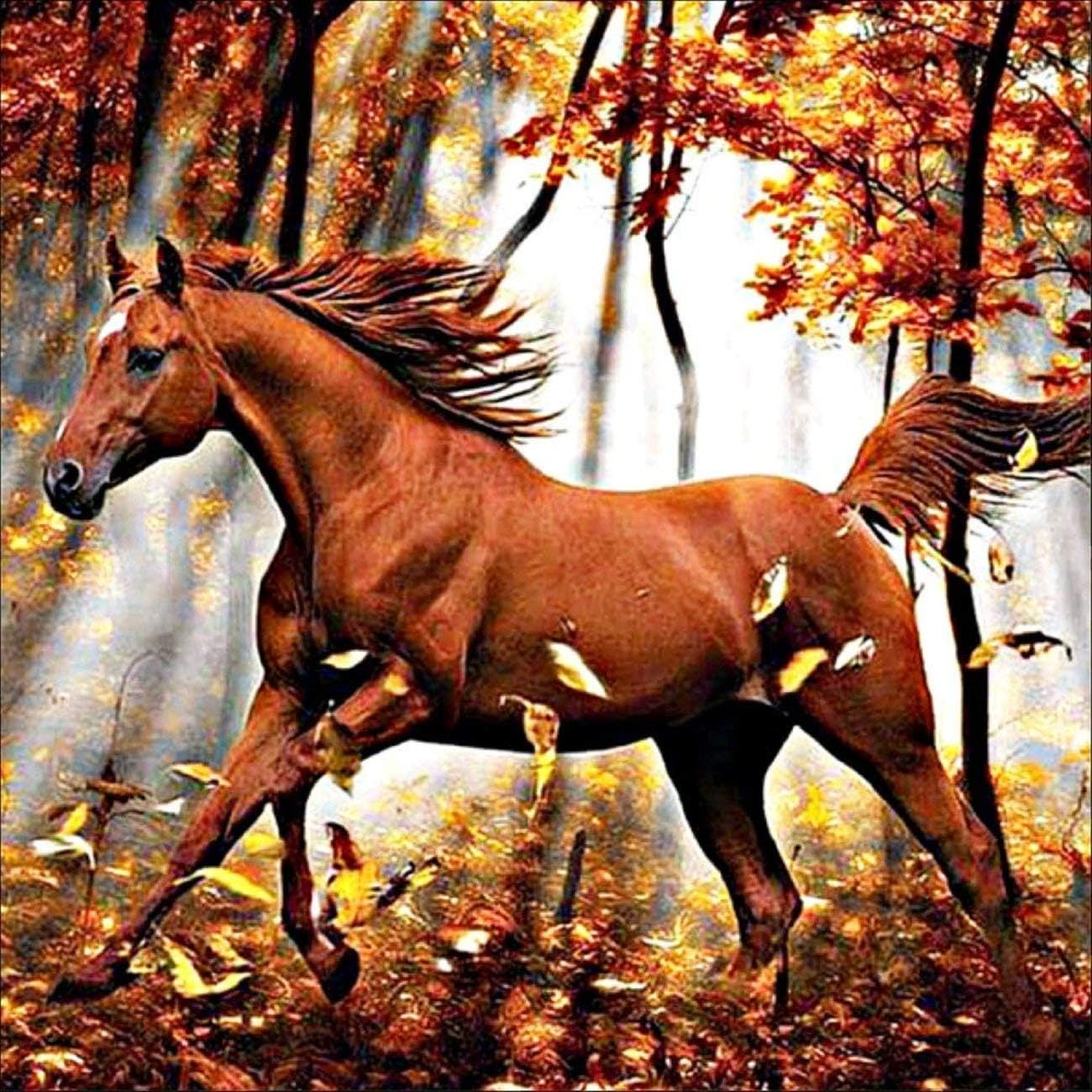 DIY 5D Diamond Painting by Number Kit, Diamond Painting Full Kits Full Drill Running Horse Forest Rhinestone Embroidery Cross Stitch Supply Arts Craft Canvas Wall Decor 30x30 cm