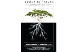 Design in Nature: How the Constructal Law Governs Evolution in Biology, Physics, Technology, and Social Organizations