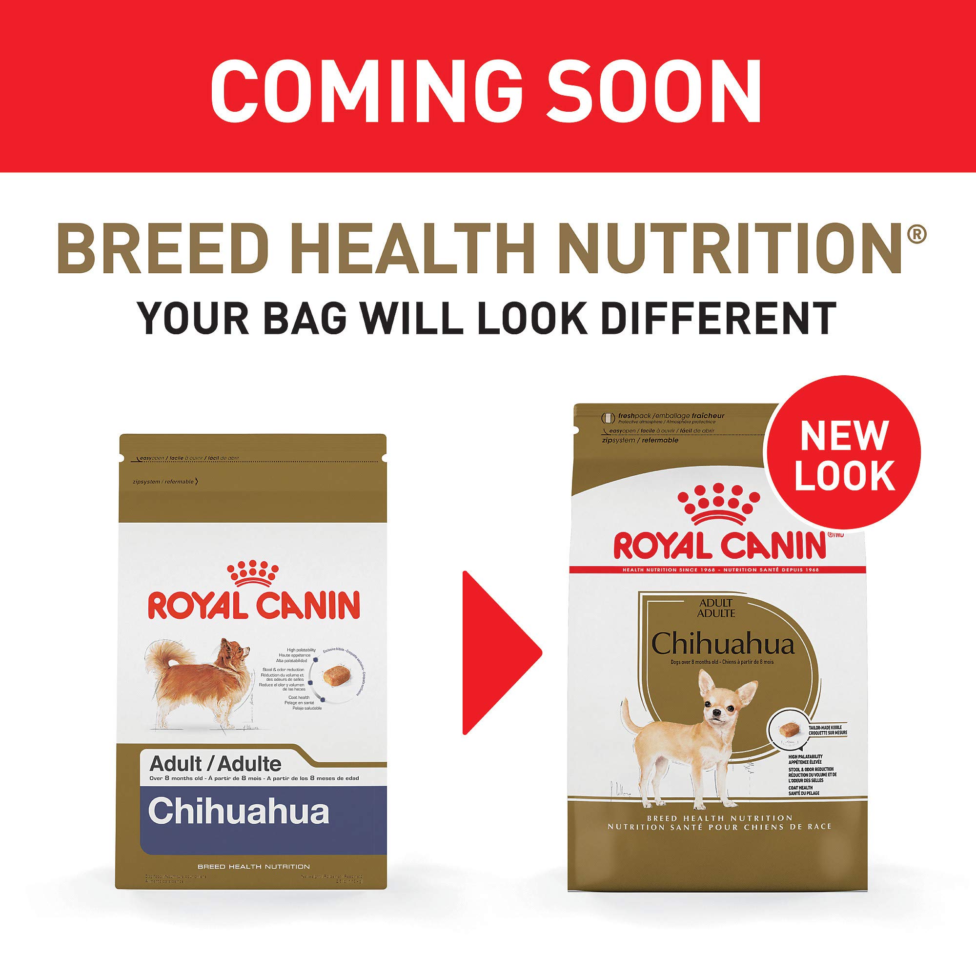 ROYAL CANIN BREED HEALTH NUTRITION Chihuahua Adult dry dog food, 10