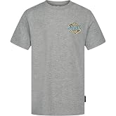 Quiksilver Boys' Short Sleeve Regular Fit Logo Graphic T-Shirt