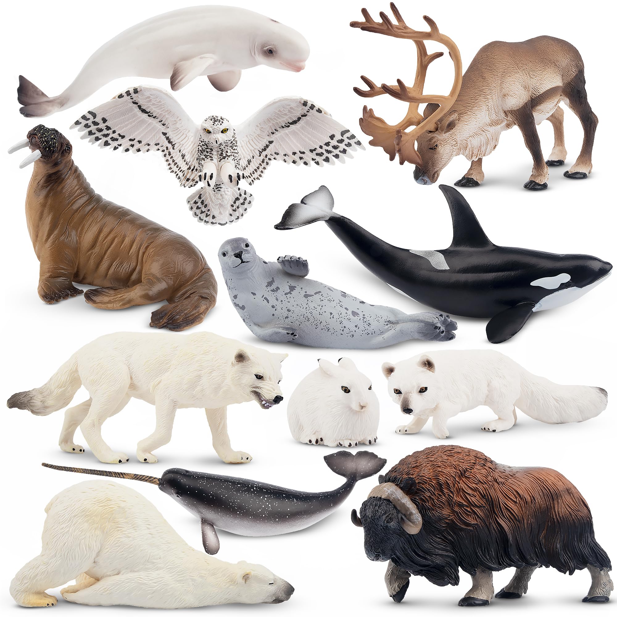 Toymany 12PCS 4 7 Large Polar Animals Figurines Plastic Arctic Animal toymany-12pcs-4-7-large-polar-animals-figurines-plastic-arctic-animal