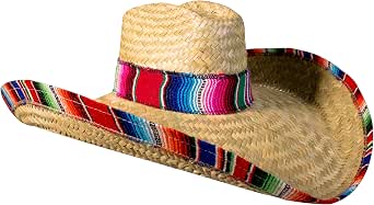 Windy City Novelties Sombrero Hat 