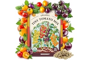Seedboy Organic Rainbow Cherry Tomato Seeds for Planting Indoor and Outdoor, Non-GMO and USDA Certified Vegetable Seed Packet for Hydroponic Garden Indoor or Planting Outdoors (Cherry Tomato)