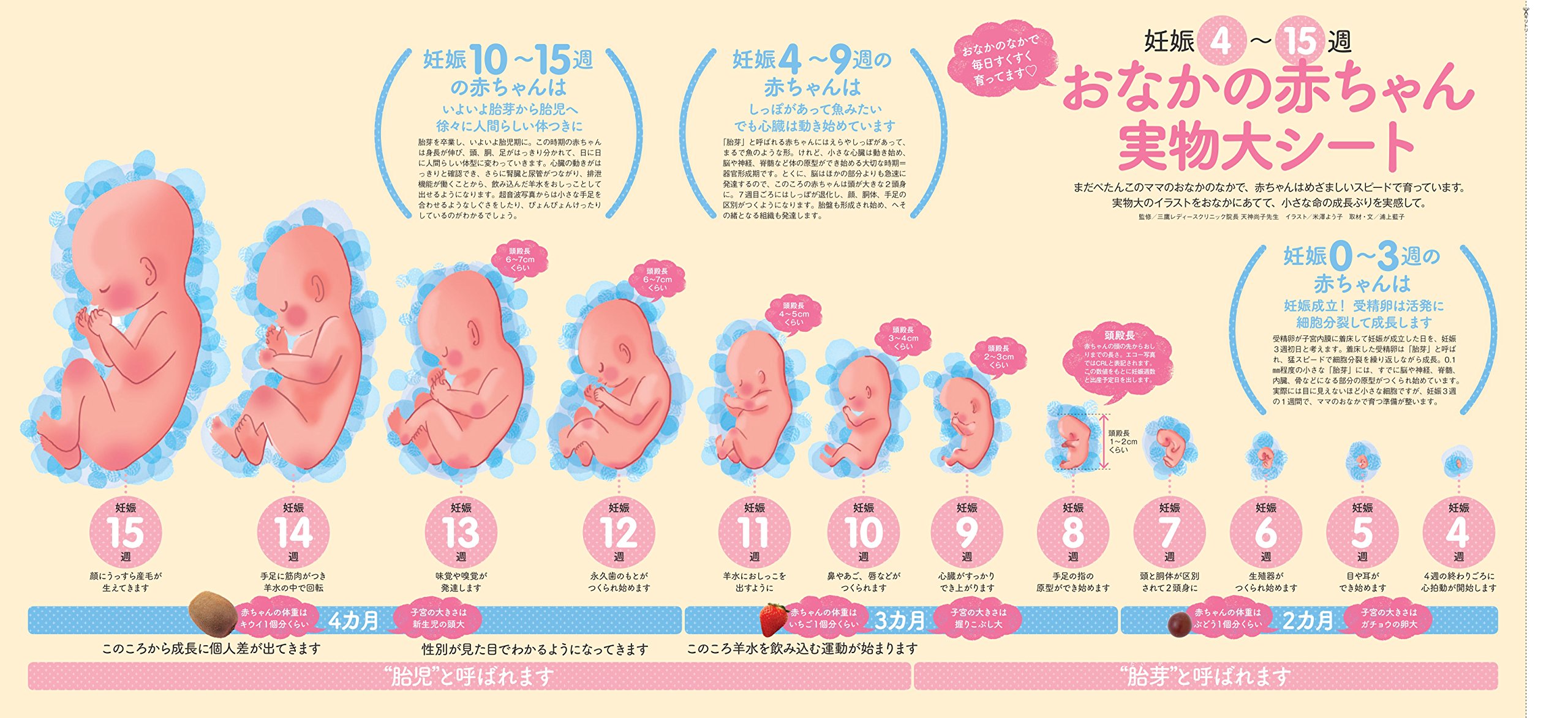 First Pre Mo 妊娠がわかったらすぐ読む本 15秋冬 15年 10 月号 雑誌 Pre Mo プレモ 増刊 本 通販 Amazon