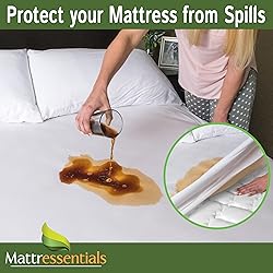 Zippered King Mattress Protector - Bed Bug