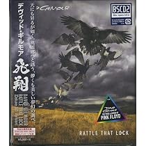 Rattle That Lock: GILMOUR,DAVID: Amazon.ca: Music