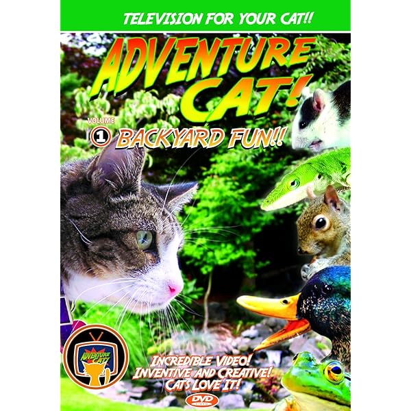スコ座り猫。 DVD Amazon.com: Cats & Dogs (Widescreen Version