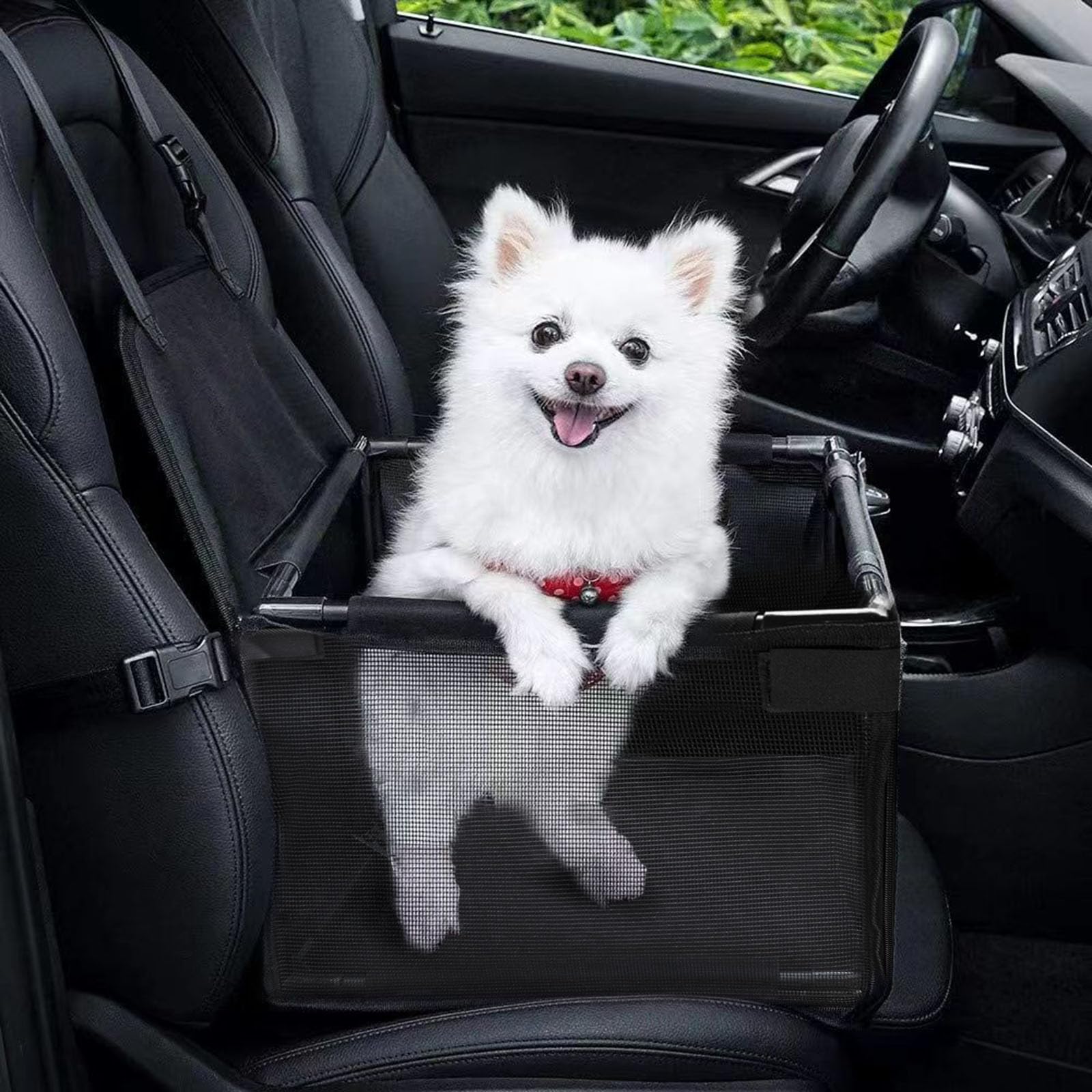 Photo 1 of GENORTH Small Dog Car Seats for Small Dogs,Portable Puppy/Pet Car Booster Seat with Clip-On Leash and Mesh Window for Small Pet Up to 11 lbs