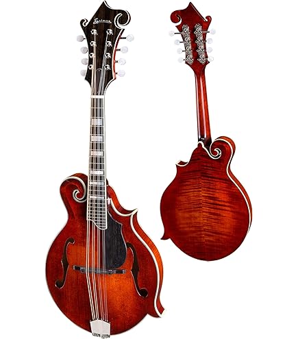 Amazon.com: eastman Eastman MD314 FStyle Mandolin with Oval hole