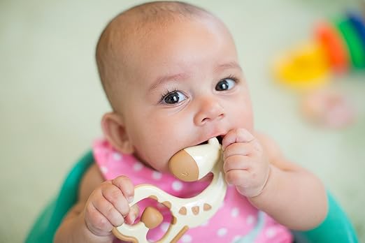 dr brown's ridgees teether