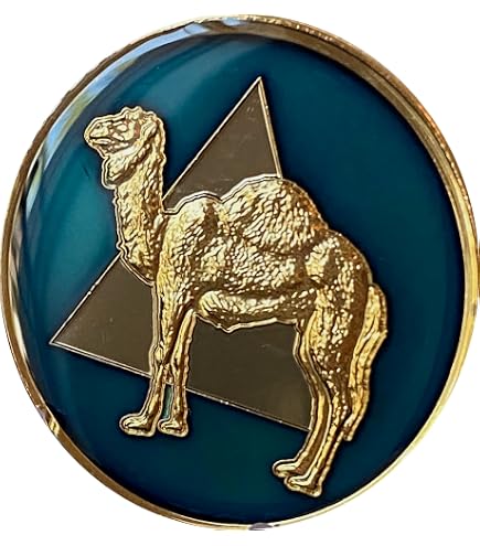 5 Year AA Medallion Traditional Bronze Raised Center