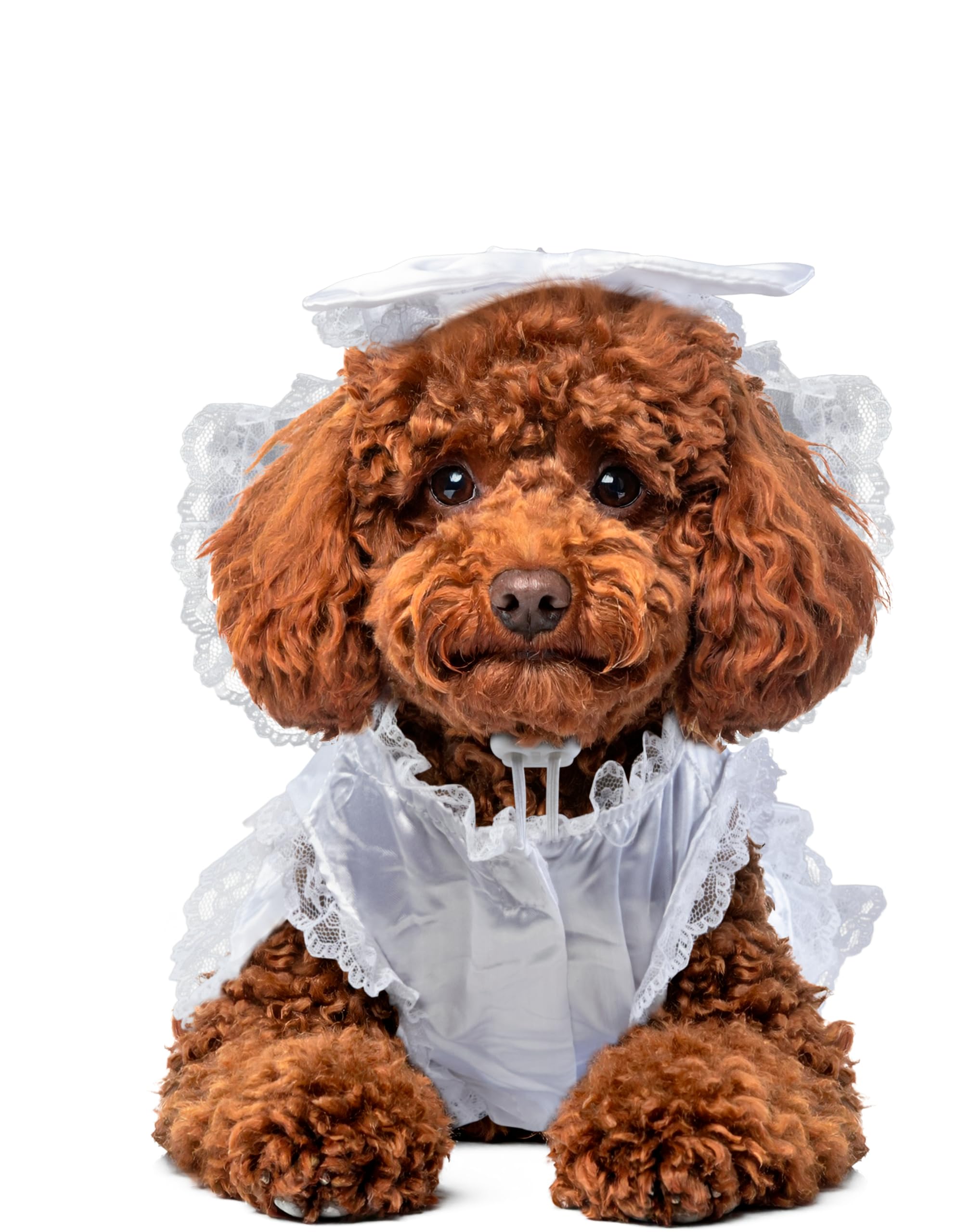 Official Rubie's Bride Dog, Wedding Pet Costume, Size Large Halloween Halloween