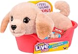 Little Live Pets Buddy Retriever Mini Puppy 20+ Sounds Basket Bed view 1