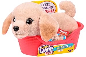Little Live Pets My Really Real Puppy Mini Buddy The Retriever, Interactive Plush Toy with Basket, 20+ Sounds and Reactions, Puppy Toys for Kids