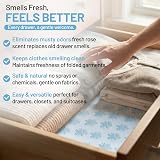 ZYBUX Scented Drawer Liners 4 Sheets 43cm x 58cm Ocean Fresh Aroma view 3