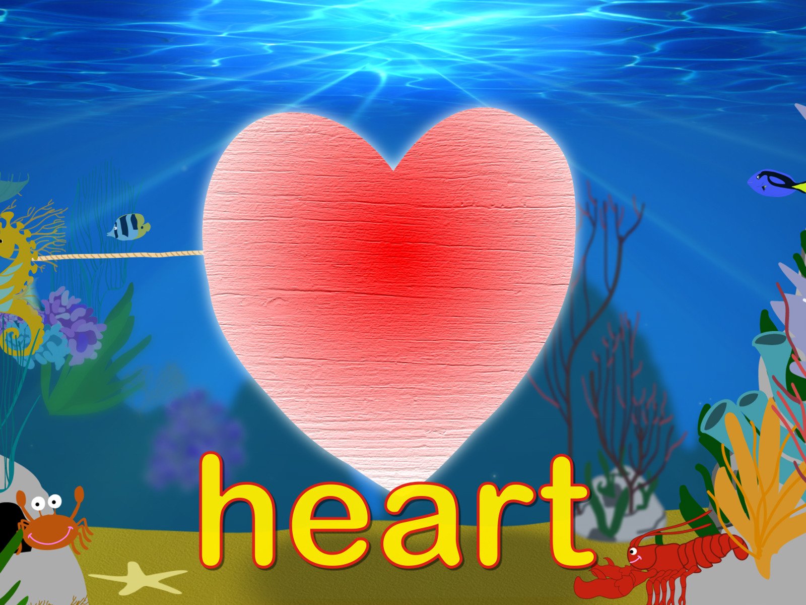 Watch Toddler Fun Learning Videos Prime Video