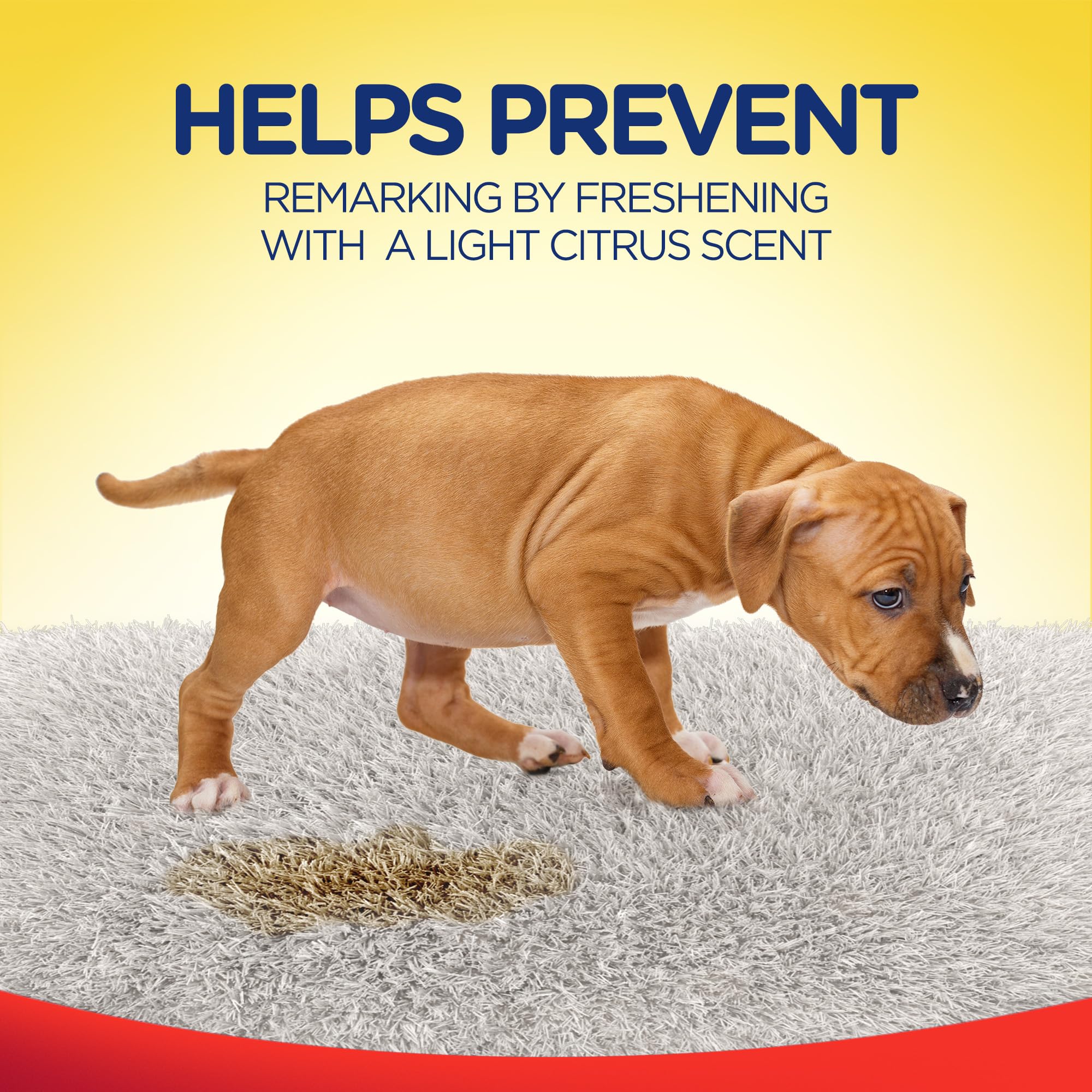 Resolve Pet Specialist Urine Destroyer Stain & Odor Remover, 32 Fl Oz