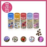 Seedball Wildflower Seed Bombs Set of 5 Tubes Bee Friendly Seeds view 2