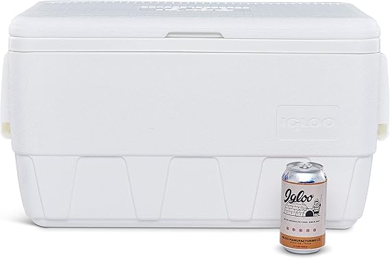igloo 36 qt cooler