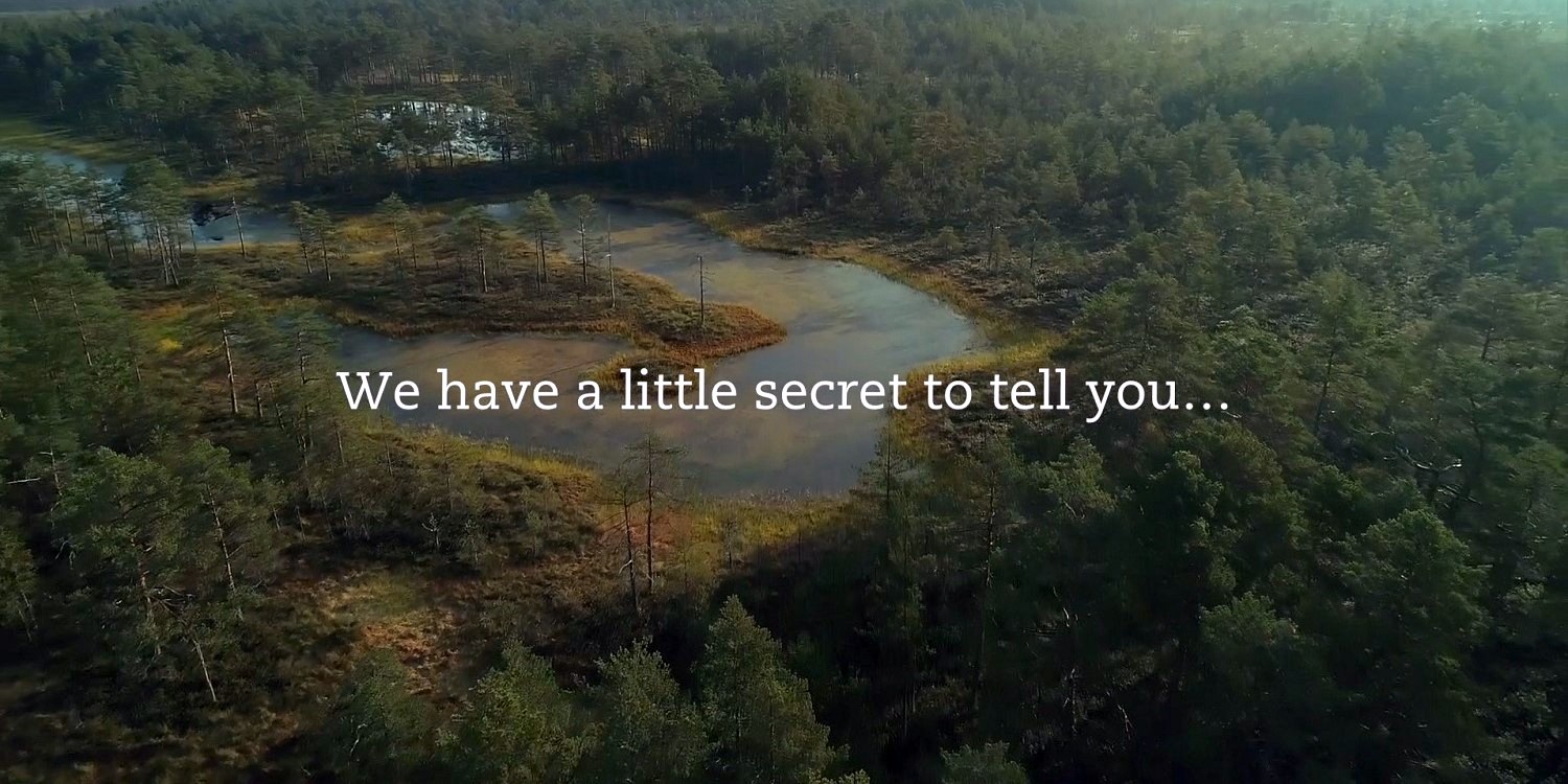 LOOV Organic Wild Blueberry Powder - 35-Day Supply, 6 Oz, Good for Smoothie & Breakfast, Freeze-Dried, from Northern… - Image 8