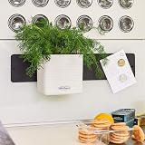 Lechuza Self Watering Plant Pot Green Wall Kit with Water Level Indicator view 3