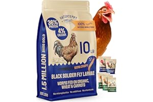 Hatortempt Black Soldier Fly Larvae - 10 lb - Calcium-Rich Chicken Feed Supplement - Treats for Laying Hens - Grubs for Chickens Training Rewards
