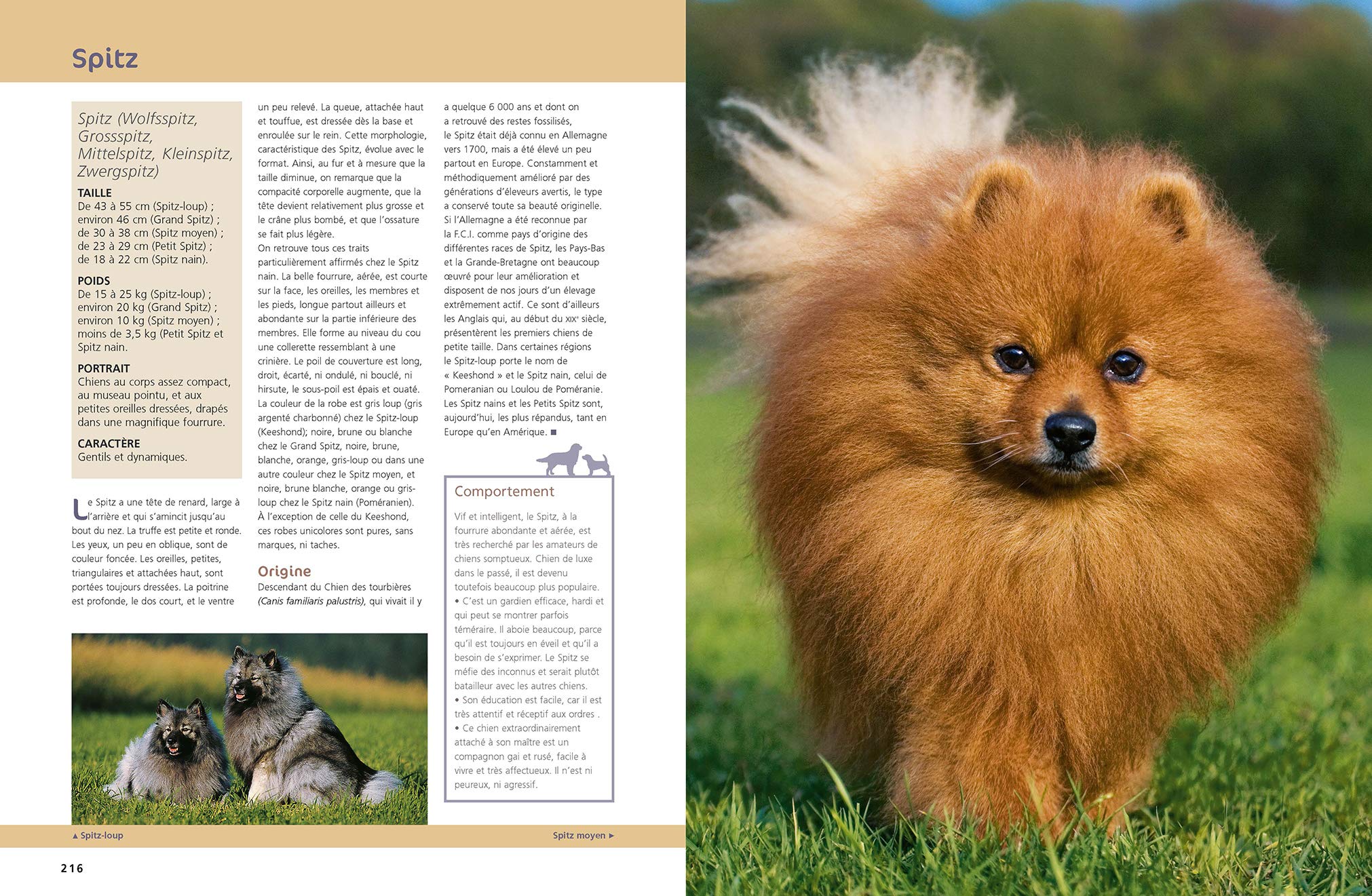 Le Larousse Du Chien Et Du Chiot Tout Pour Le Choisir Le