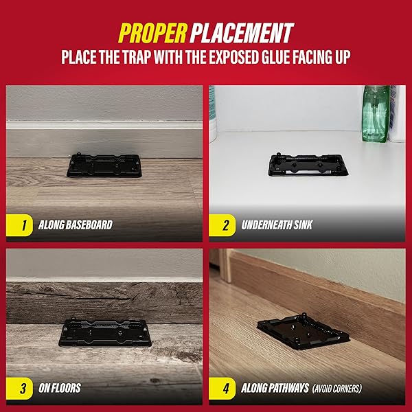 CATCHMASTER-40 MOUSE & INSECT GLUE TRAPS, HEAVY-DUTY PESTICIDE-FREE STICKY MOUSE TRAPS INDOOR FOR HOME, USED BY THE PROS, ADHESIVE RODENT & BUG CATCHER, PEST CONTROL FOR HOUSE & GARAGE
